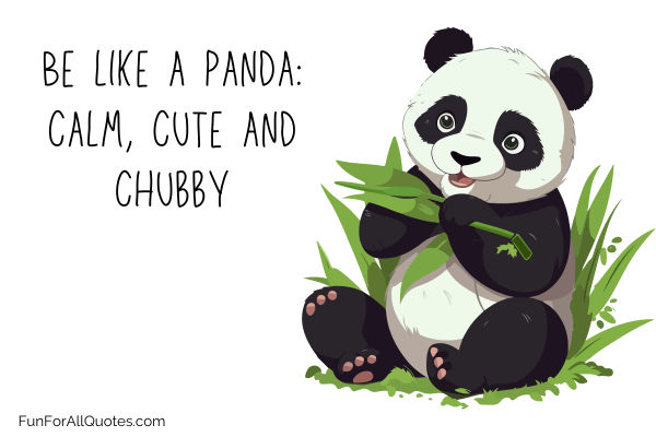 Panda Graphic with text overlay