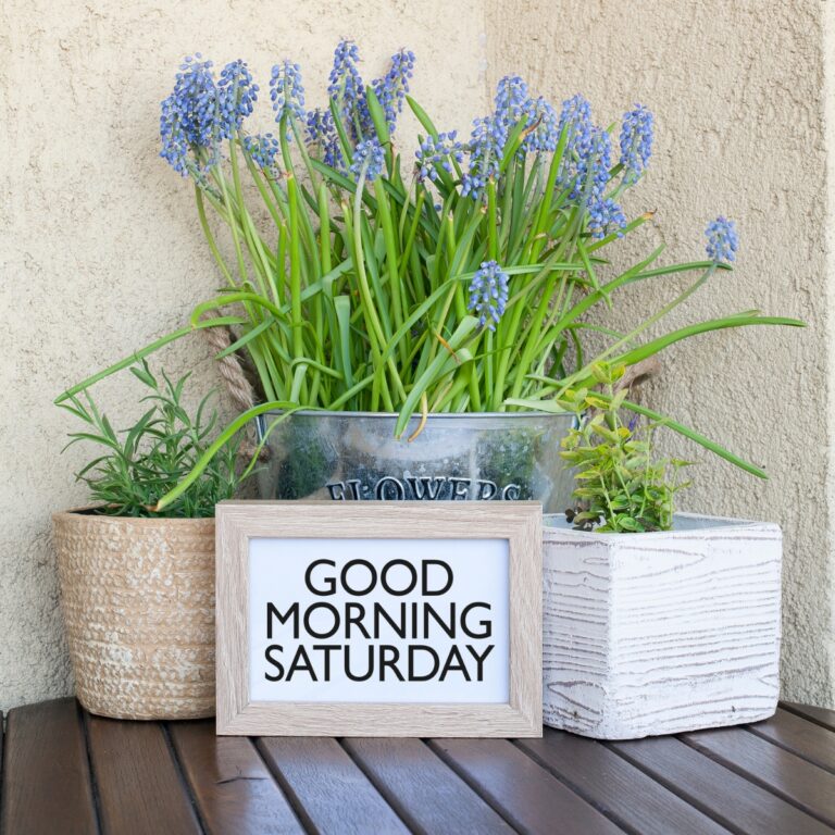 Saturday Morning Quotes