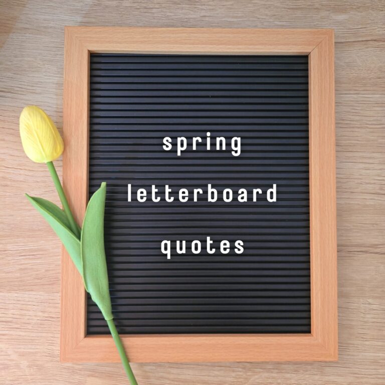 Spring Letterboard Quotes