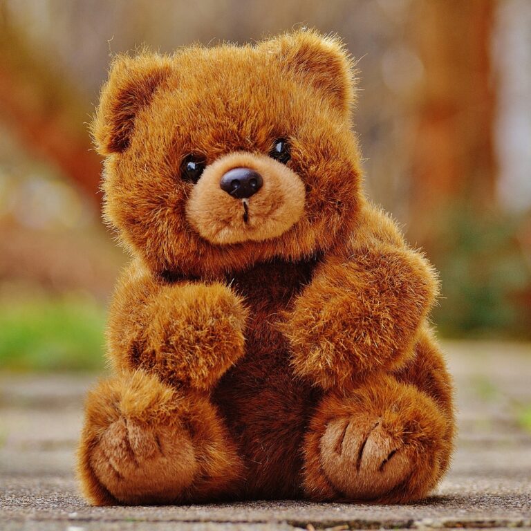 Teddy Bear Quotes