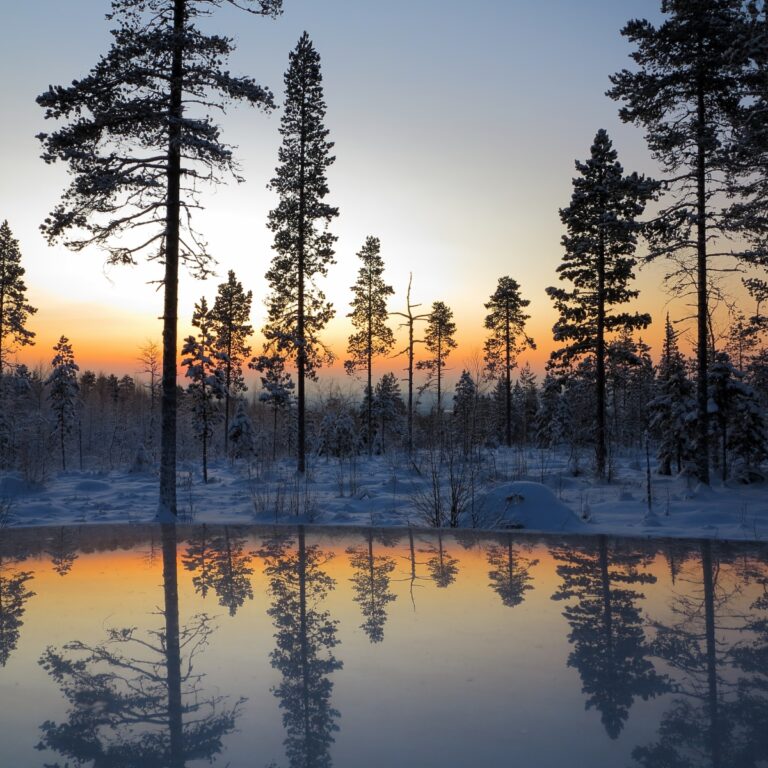 Winter Solstice Quotes
