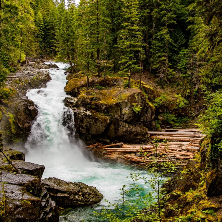 Nature Quotes