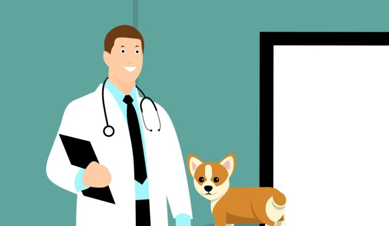 Pet Emergencies Happen-Know How to Respond with Confidence